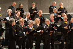 VDF-Concert-Telethon-30-Novembre-2025-14