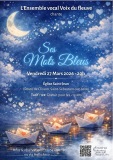 Mots-bleus-afficheR