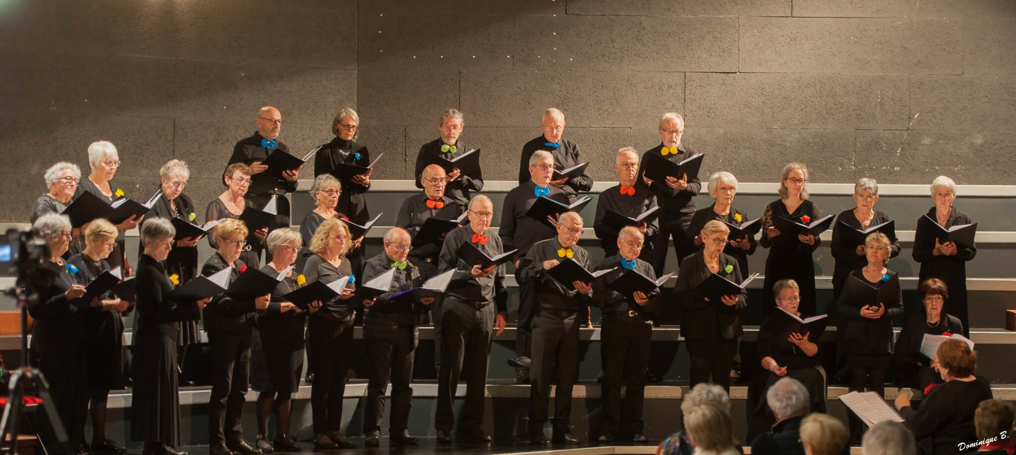 Lire la suite à propos de l’article Le CONCERT DU TELETHON en images